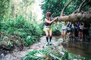 BIB: 
                            <button type="button" onclick="openModal(25473561)" class="btn btn-primary btn-sm float-right btn-popup" data-toggle="modal" data-target=".modal-high-quality">
                        <i class="fas fa-shopping-cart"></i> Add to Cart
                    </button>
                                            <button type="button" onclick="isThisMe(25473561, true)" class="btn btn-success btn-sm float-right btn-popup btn-isme hidden" data-toggle="tooltip" data-placement="bottom" title="นี่คือรูปของคุณใช่ไหม คลิกที่นี่เพื่อเอาเข้าอัลบั้ม">
                        <i class="fas fa-plus"></i> Add to album
                    </button>
                    <button type="button" onclick="isThisMe(25473561, false)" class="btn btn-warning btn-sm float-right btn-popup btn-isnotme hidden">
                        <i class="fas fa-ban"></i> Remove from album
                    </button>